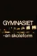 Gymnasiet - En skoleform