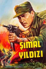 Simal yildizi