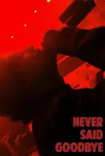 Never Said Goodbye