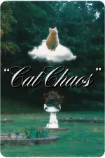 Cat Chaos