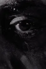 Debil Debil Baldwin Spencer