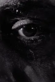 Debil Debil Baldwin Spencer