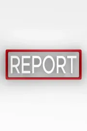 Report