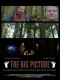 The Big Picture
