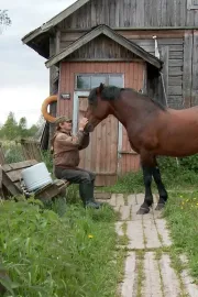 Robinsons of Mantsinsaari