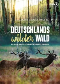 Tajemství jelena evropského