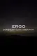ERGO: Energetic Ray Global Observatory