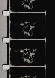 Studies in Image (de) Generation