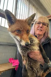 Secrets of the Southwest: Science Behind the Secrets