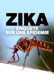 Zika, enquête sur une épidémie