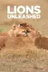 Lions Unleashed