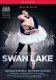 Tchaikovsky - Swan Lake