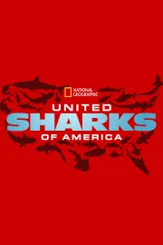 United Sharks of America