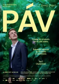 Páv