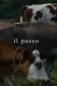 Il passo