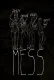 Mess