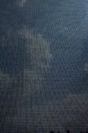 Greetings for the New York Film Festival