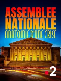 Assemblée nationale, anatomie d'une crise