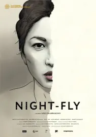 Night-Fly