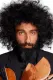Ara Malikian