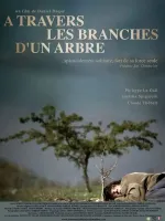 À travers les branches d'un arbre