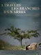 À travers les branches d'un arbre