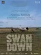 Swandown