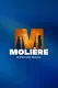Molière, le spectacle musical