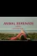 Animal Serenade