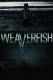 Weaverfish