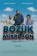 Bozuk Mikrofon