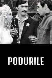 Podurile