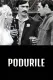 Podurile