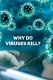 Why Do Viruses Kill?
