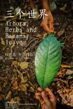 Arbors, Herbs and Banana Leaves