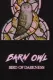 Barn Owl: Bird of Darkness
