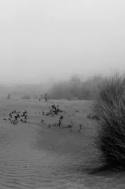 Sea Concrete Human — Malfunctions #1