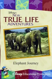 Elephant Journey