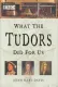 What the Tudors Did for Us