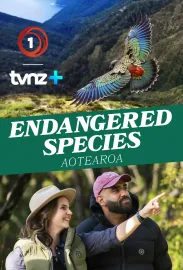 Endangered Species Aotearoa with WWF