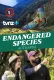 Endangered Species Aotearoa with WWF