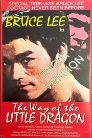 Way of the Little Dragon, The