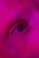 Endliche Erinnerungen