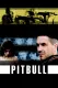 Pitbull
