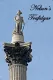 Nelson's Trafalgar