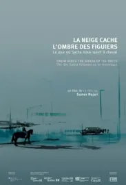 La neige cache l'ombre des figuiers