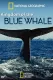 Kingdom of the Blue Whale