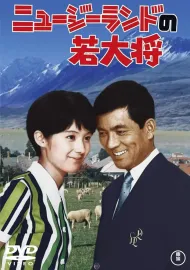 Nyu jirando no wakadaishô