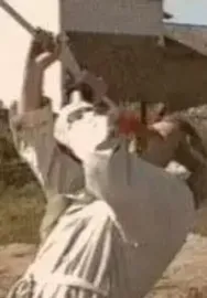 The Bulgarian Bullet