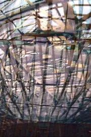 Aperspectival House Variation